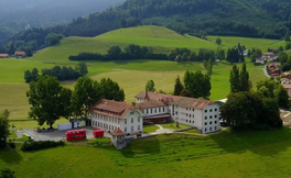 Peuplier couverture  4